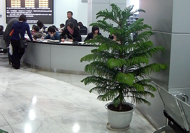 部分案例